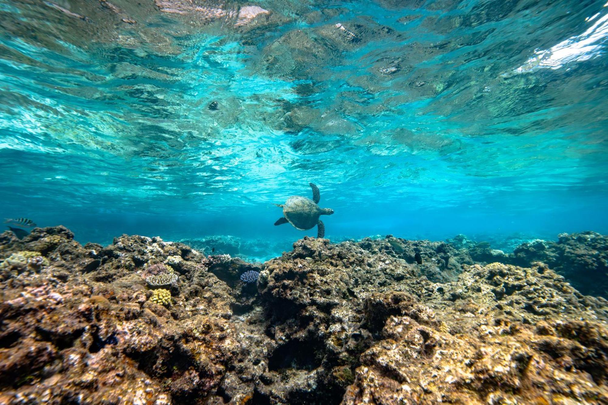 Intercontinental Lifou Wadra Bay Resort Akaouane Extérieur photo